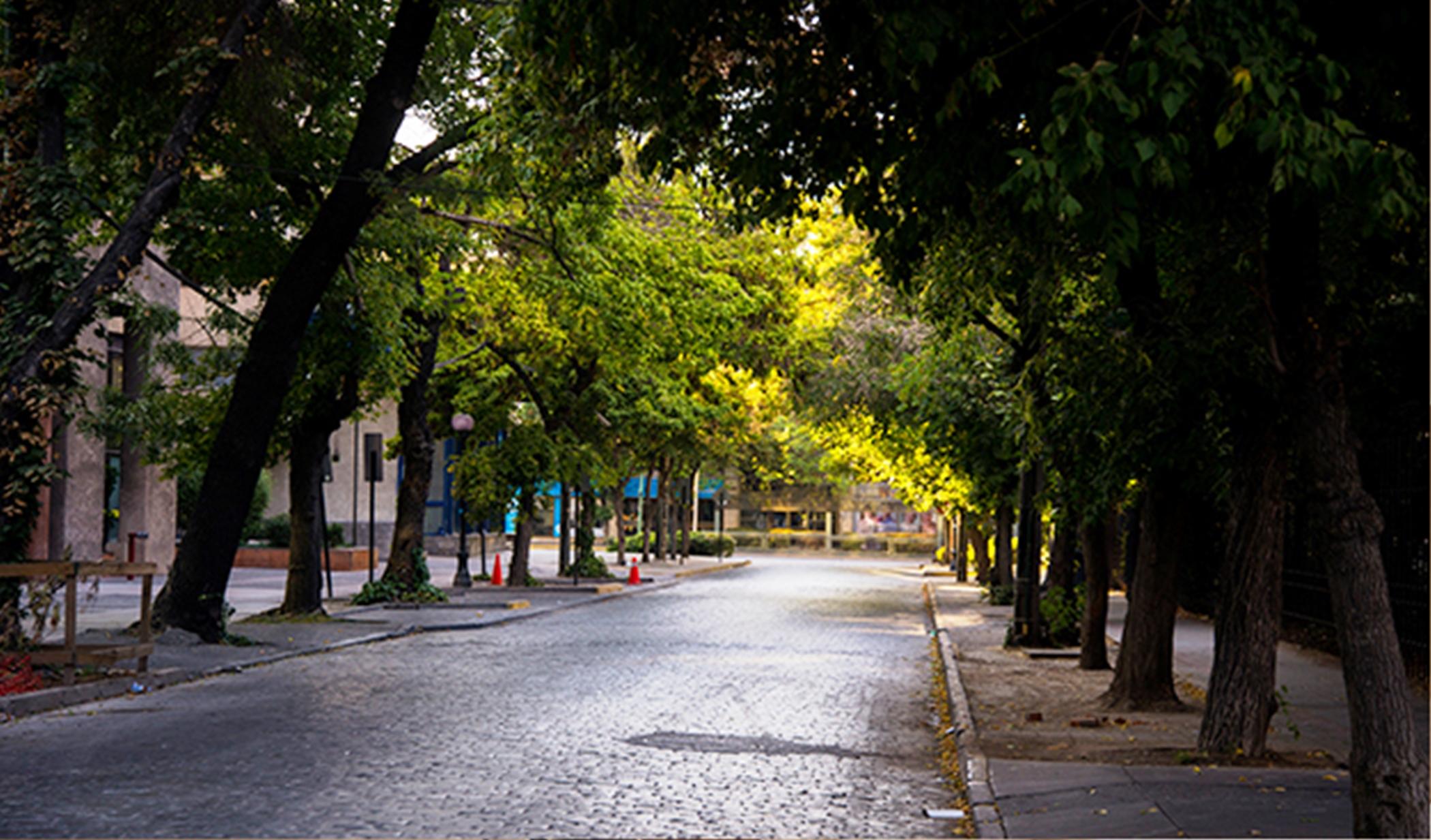 Solace Hotel Santiago Exterior photo A street in the neighborhood