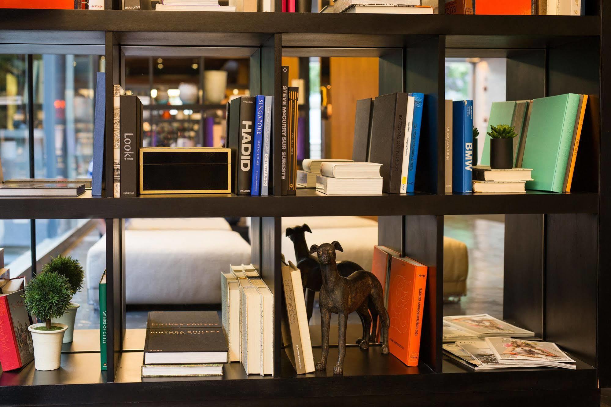 Solace Hotel Santiago Exterior photo A dog in a library